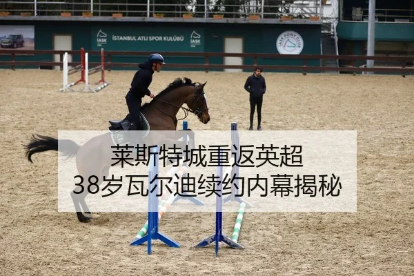 莱斯特城重返英超 38岁瓦尔迪续约内幕揭秘
