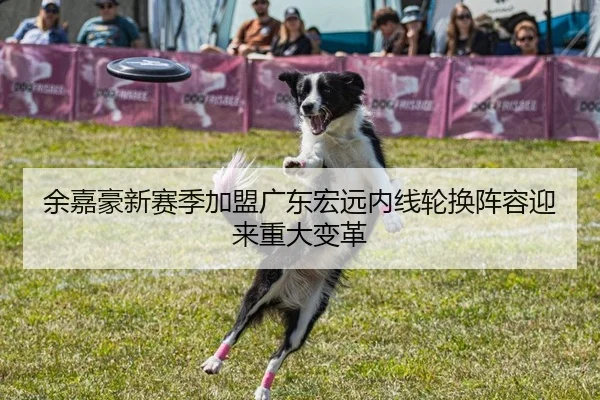 余嘉豪新赛季加盟广东宏远内线轮换阵容迎来重大变革
